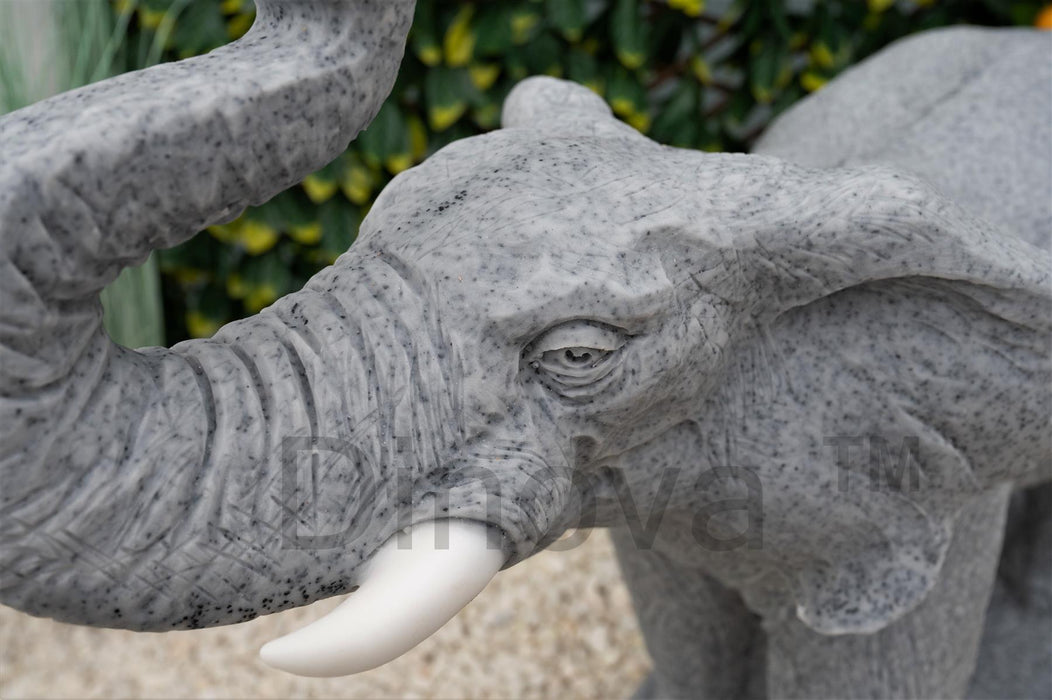 Dinova Grey Fighting Elephant