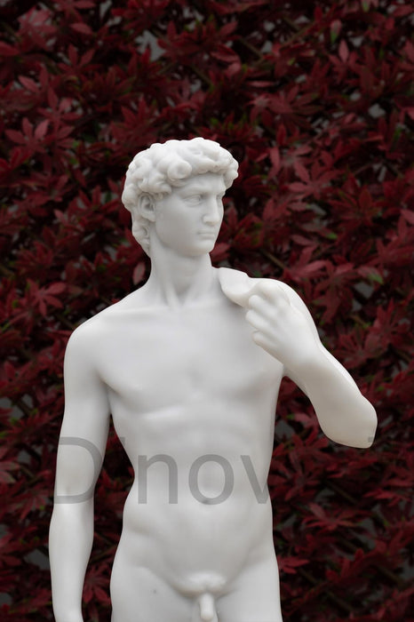 Dinova Son of Heraclius White Statue