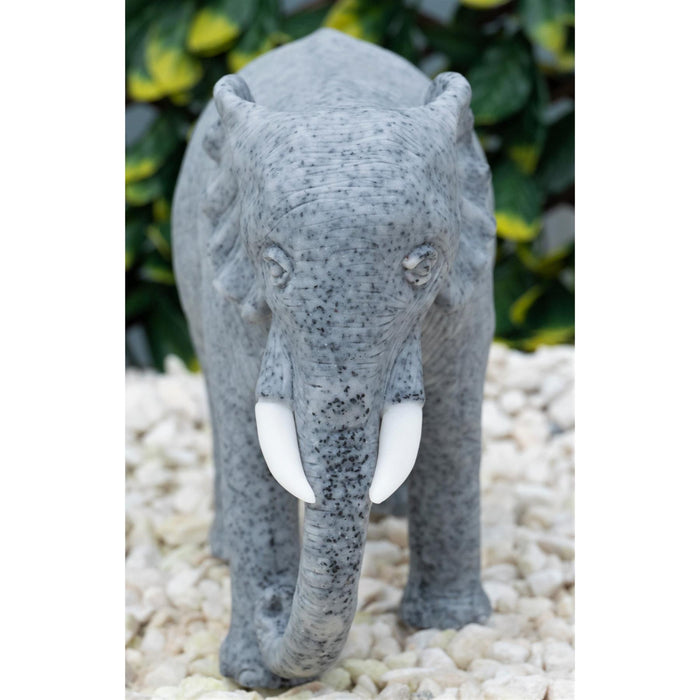 Dinova Elephant Grey